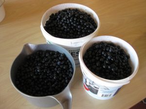 IMG_4267[1]